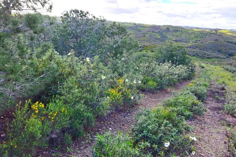Helårsgrund i Castro Marim, Faro, Castro Marim - € 35.000 | Ref: 2001-144 - foto 16