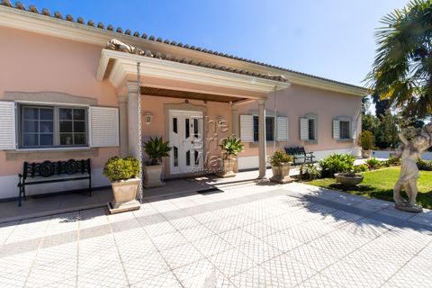 Farm hus i Pontevel, Santarem, Pontevel - € 1.350.000 | Ref: PSI-103873 - foto 6
