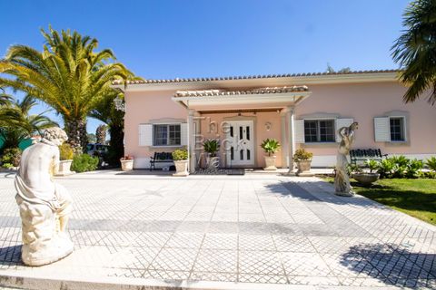 Farm hus i Pontevel, Santarem, Pontevel - € 1.350.000 | Ref: PSI-103873 - foto 7