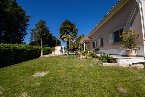 Farm hus i Pontevel, Santarem, Pontevel - € 1.350.000 | Ref: PSI-103873 - foto 9