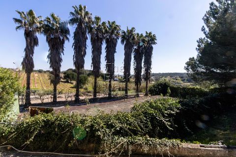 Farm hus i Pontevel, Santarem, Pontevel - € 1.350.000 | Ref: PSI-103873 - foto 10