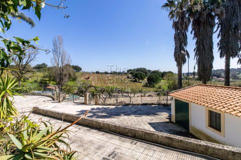 Farm hus i Pontevel, Santarem, Pontevel - € 1.350.000 | Ref: PSI-103873 - foto 11