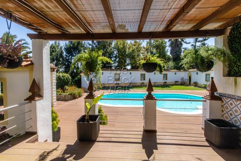 Farm hus i Pontevel, Santarem, Pontevel - € 1.350.000 | Ref: PSI-103873 - foto 15