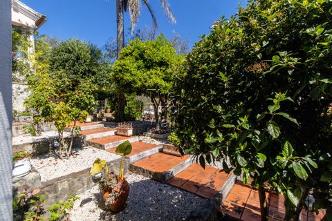 Farm hus i Pontevel, Santarem, Pontevel - € 1.350.000 | Ref: PSI-103873 - foto 16