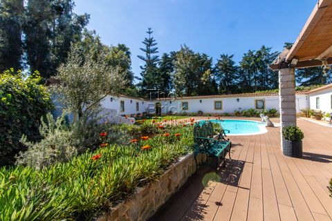 Farm hus i Pontevel, Santarem, Pontevel - € 1.350.000 | Ref: PSI-103873 - foto 18