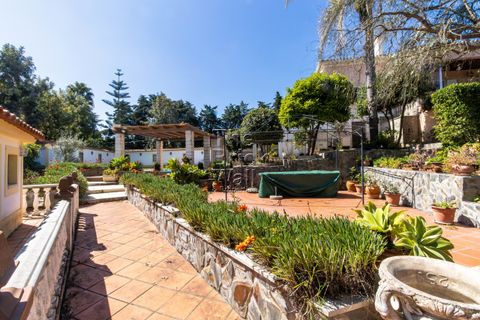 Farm hus i Pontevel, Santarem, Pontevel - € 1.350.000 | Ref: PSI-103873 - foto 19