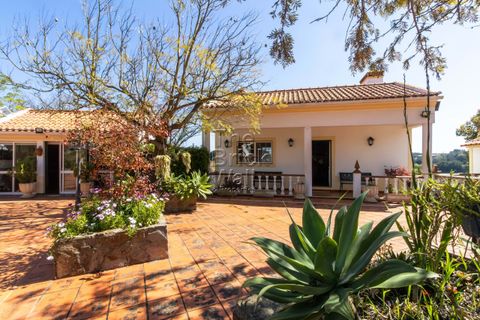 Farm hus i Pontevel, Santarem, Pontevel - € 1.350.000 | Ref: PSI-103873 - foto 23