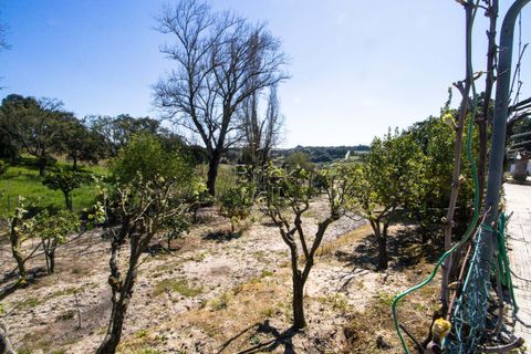 Farm hus i Pontevel, Santarem, Pontevel - € 1.350.000 | Ref: PSI-103873 - foto 34