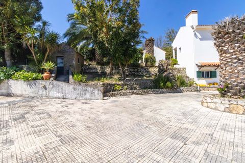 Farm hus i Pontevel, Santarem, Pontevel - € 1.350.000 | Ref: PSI-103873 - foto 35