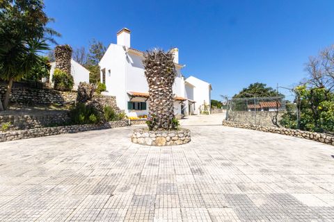 Farm hus i Pontevel, Santarem, Pontevel - € 1.350.000 | Ref: PSI-103873 - foto 36