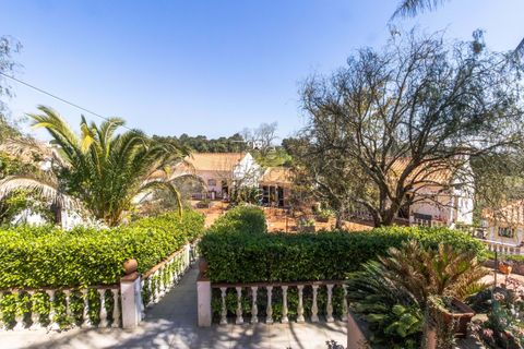 Farm hus i Pontevel, Santarem, Pontevel - € 1.350.000 | Ref: PSI-103873 - foto 38