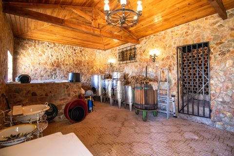 Farm hus i Pontevel, Santarem, Pontevel - € 1.350.000 | Ref: PSI-103873 - foto 40
