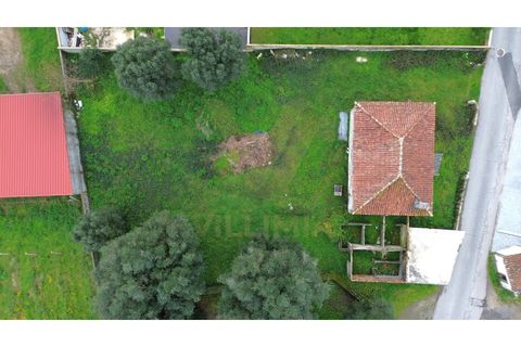 Villa a Ponte de Lima, Viana do Castelo, Ponte de Lima - € 110.000 | Ref: V194 - foto 6