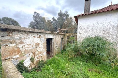 Villa a Ponte de Lima, Viana do Castelo, Ponte de Lima - € 110.000 | Ref: V194 - foto 8