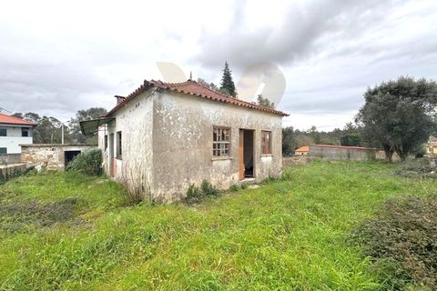 Villa a Ponte de Lima, Viana do Castelo, Ponte de Lima - € 110.000 | Ref: V194 - foto 10