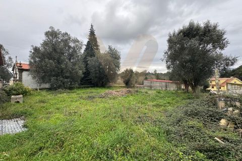 Villa a Ponte de Lima, Viana do Castelo, Ponte de Lima - € 110.000 | Ref: V194 - foto 12