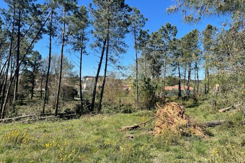 Helårsgrund i Seia, Guarda, Seia - € 75.000 | Ref: 382250037 - foto 2