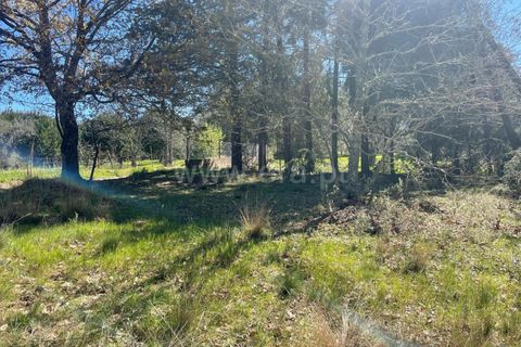 Helårsgrund i Seia, Guarda, Seia - € 75.000 | Ref: 382250037 - foto 3