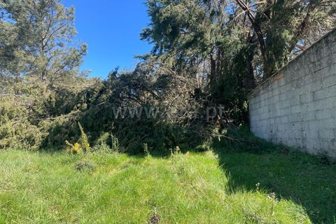 Helårsgrund i Seia, Guarda, Seia - € 75.000 | Ref: 382250037 - foto 4