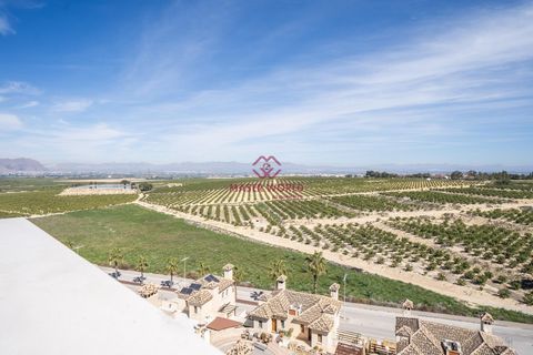 Rækkehus i Algorfa, Alicante, Algorfa - € 473.000 | Ref: MWN8806/5187 - foto 29