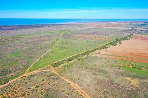 Helårsgrund i Sagres, Faro, Sagres - € 2.500.000 | Ref: BPA4286 - foto 5