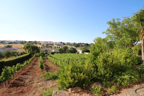 Villa i Lagos, Faro, Lagos - € 1.600.000 | Ref: BPA5156 - foto 10