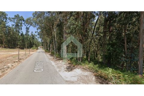 Grond in Barcelos, Braga, Barcelos - € 230.000 | Ref: TER_3415 - foto 2