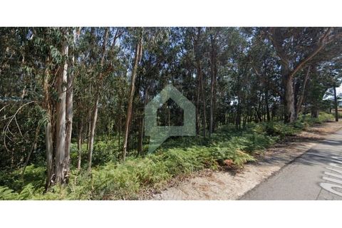 Grond in Barcelos, Braga, Barcelos - € 230.000 | Ref: TER_3415 - foto 3