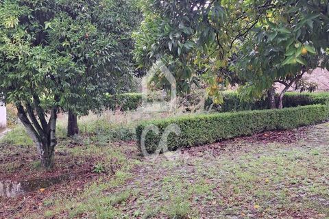 Villa i Covilha, Castelo Branco, Covilha - € 500.000 | Ref: 400/M/00001 - foto 19