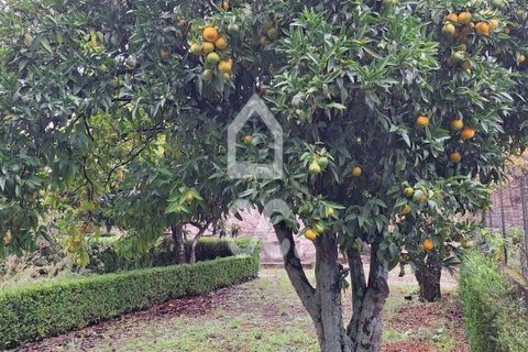 Villa i Covilha, Castelo Branco, Covilha - € 500.000 | Ref: 400/M/00001 - foto 20
