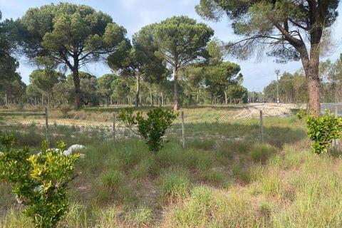 Terra a Comporta, Setubal, Comporta - € 249.000 | Ref: A106 - foto 6