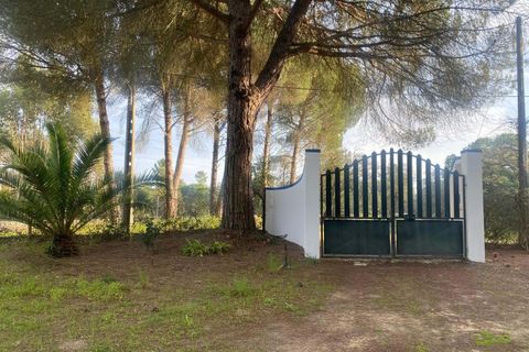 Terra a Comporta, Setubal, Comporta - € 249.000 | Ref: A106 - foto 3