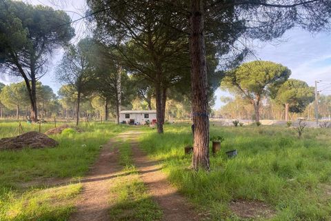 Terra a Comporta, Setubal, Comporta - € 249.000 | Ref: A106 - foto 2