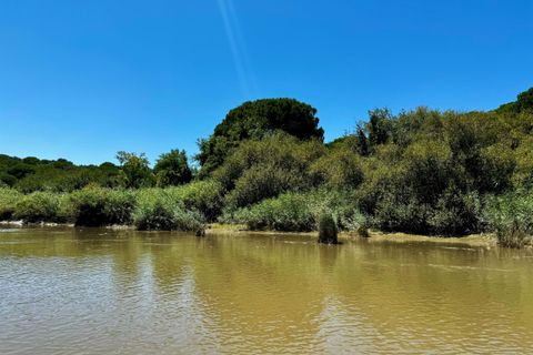Terra a Comporta, Setubal, Comporta - € 249.000 | Ref: A106 - foto 21