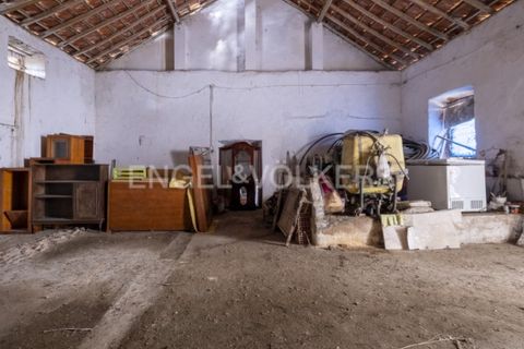 Villa i Dois Portos, Lisbon, Dois Portos - € 690.000 | Ref: W-02YL5V - foto 9