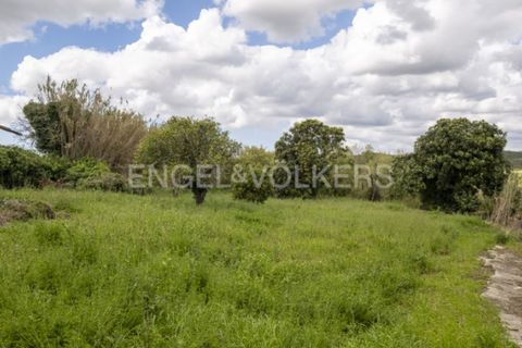 Villa i Dois Portos, Lisbon, Dois Portos - € 690.000 | Ref: W-02YL5V - foto 11