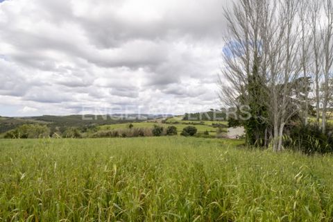 Villa i Dois Portos, Lisbon, Dois Portos - € 690.000 | Ref: W-02YL5V - foto 12