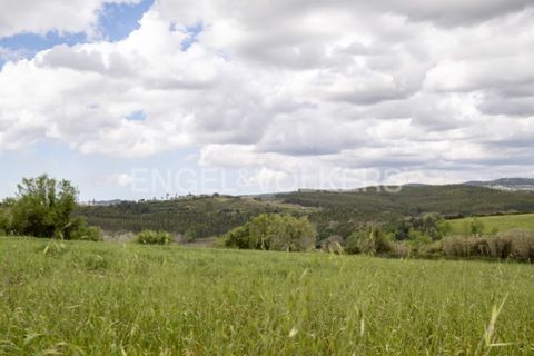 Villa i Dois Portos, Lisbon, Dois Portos - € 690.000 | Ref: W-02YL5V - foto 13
