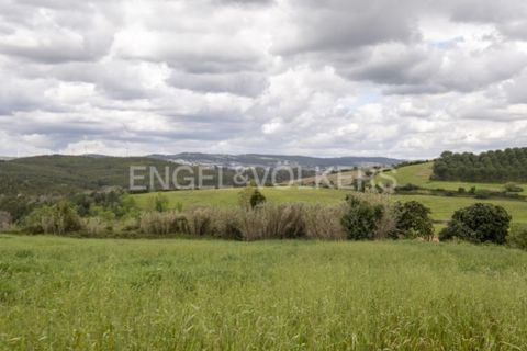 Villa i Dois Portos, Lisbon, Dois Portos - € 690.000 | Ref: W-02YL5V - foto 14