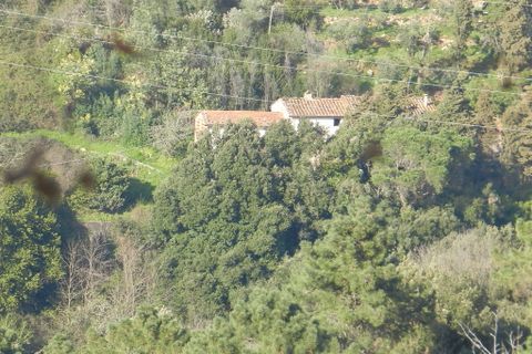 Villa i Lucca, Lucca, Lucca - € 200.000 | Ref: IA00871 - foto 2