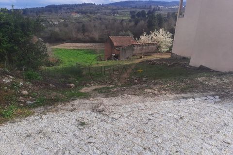 Terra a Moimenta da Beira, Viseu, Moimenta da Beira - € 30.000 | Ref: 0118 - foto 2