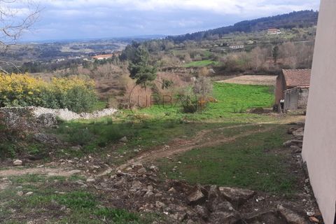 Terra a Moimenta da Beira, Viseu, Moimenta da Beira - € 30.000 | Ref: 0118 - foto 3
