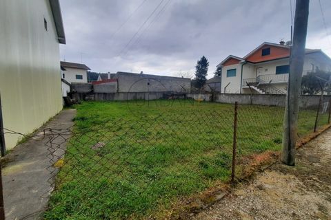 Terra a Moimenta da Beira, Viseu, Moimenta da Beira - € 32.000 | Ref: 0116 - foto 2