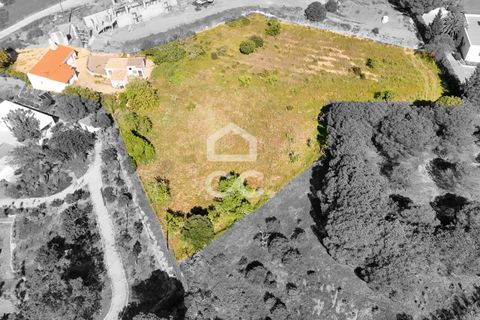 Villa i Lagoa, Faro, Lagoa - € 400.000 | Ref: 381/M/00248 - foto 21