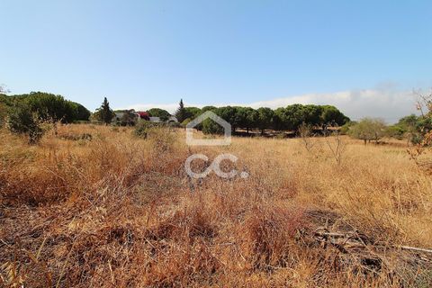 Villa i Lagoa, Faro, Lagoa - € 400.000 | Ref: 381/M/00248 - foto 19