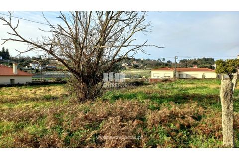 Helårsgrund i Viana do Castelo, Viana do Castelo, Viana do Castelo - € 110.000 | Ref: VCC14483 - foto 9
