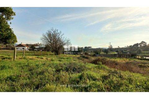 Helårsgrund i Viana do Castelo, Viana do Castelo, Viana do Castelo - € 110.000 | Ref: VCC14483 - foto 18