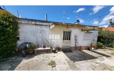 Villa i Viana do Castelo, Viana do Castelo, Viana do Castelo - € 320.000 | Ref: VCM14375 - foto 4