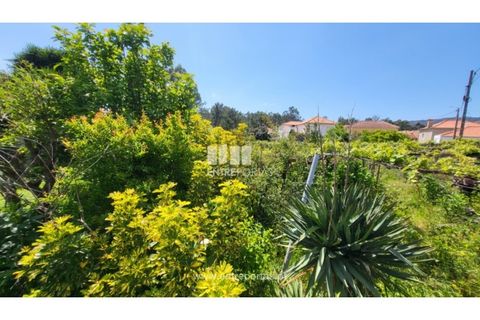 Villa i Viana do Castelo, Viana do Castelo, Viana do Castelo - € 320.000 | Ref: VCM14375 - foto 12