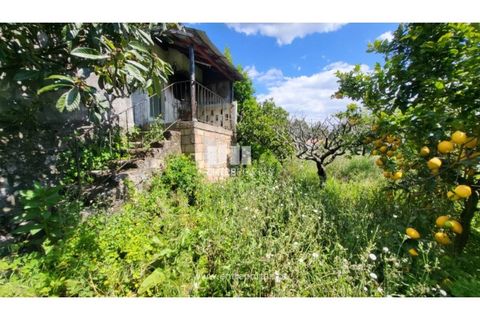 Villa i Viana do Castelo, Viana do Castelo, Viana do Castelo - € 320.000 | Ref: VCM14375 - foto 13